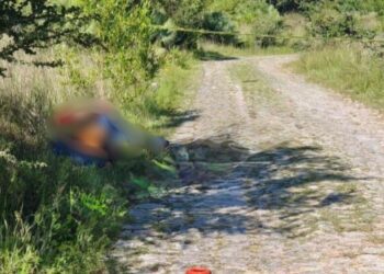 ¡Abominable hallazgo! Tiran cadáveres con huellas de tortura en Zapotitlán Palmas