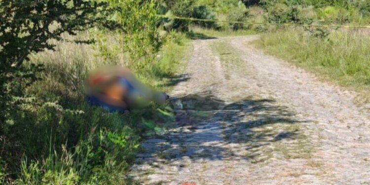 ¡Abominable hallazgo! Tiran cadáveres con huellas de tortura en Zapotitlán Palmas