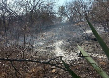 Foto: archivo // Con la temporada de lluvias, que inició el pasado 15 de mayo, quedó por concluida la temporada de estiaje y de incendios forestales del primer semestre del 2025.