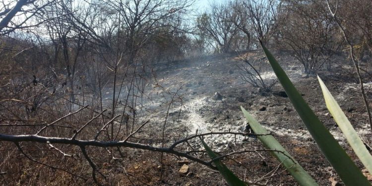 Foto: archivo // Con la temporada de lluvias, que inició el pasado 15 de mayo, quedó por concluida la temporada de estiaje y de incendios forestales del primer semestre del 2025.