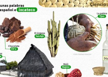 Debacle cultural: 5 lenguas originarias al borde de la extinción