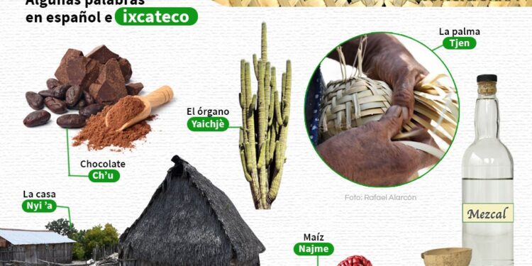 Debacle cultural: 5 lenguas originarias al borde de la extinción