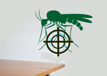 Ingeniero chino desarrolla arma láser para eliminar zancudos