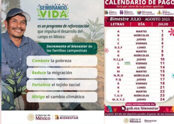 ¡Sembrando Vida! En julio se reanudan pagos de apoyo al campo con más de 6 mil pesos mensuales