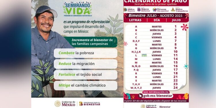 ¡Sembrando Vida! En julio se reanudan pagos de apoyo al campo con más de 6 mil pesos mensuales