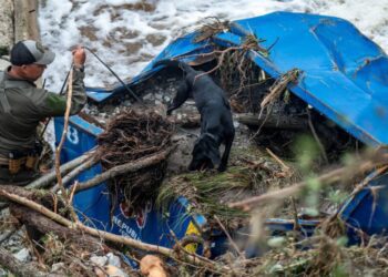 Una catástrofe inesperada! Más de 68 muertos y niñas desaparecidas tras inundación devastadora en Campamento Mystic