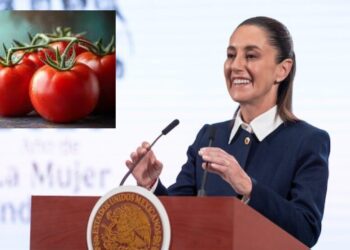México seguirá exportando jitomate pese a arancel de EU; Sheinbaum exige frenar tráfico de armas