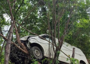 ¡Milagro en la carretera! Camioneta vuela y queda atrapada en un árbol en la ruta a juquila