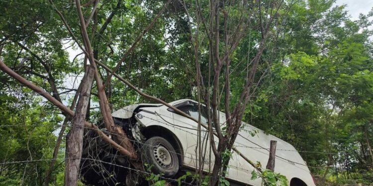 ¡Milagro en la carretera! Camioneta vuela y queda atrapada en un árbol en la ruta a juquila