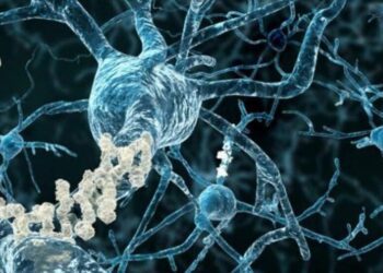 ¡Genes Zombis! La vida secreta que despierta en tu cuerpo después de morir