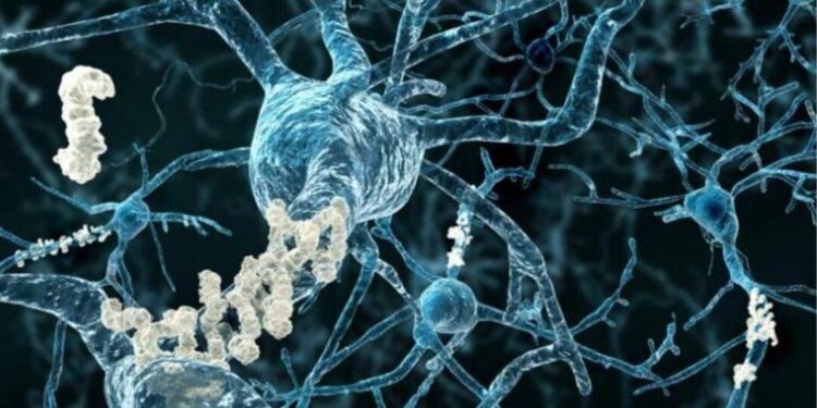 ¡Genes Zombis! La vida secreta que despierta en tu cuerpo después de morir