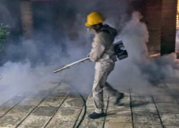 Foto: IGAVEC // Llaman a la población para intensificar las acciones preventivas contra el dengue.