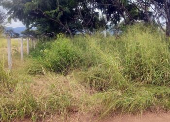 La mujer presentaba una lesión por disparo de arma de fuego a la altura del oído.