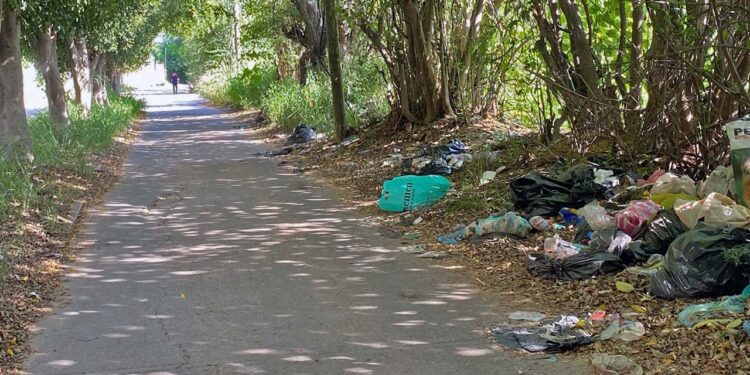 La redacción de EL IMPARCIAL recibió fotografías de evidencia ante la falta de recolección de desechos en el camino a Coyotepec.