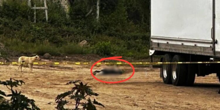 ¡Asesinan a un hombre a tiros en Miahuatlán!