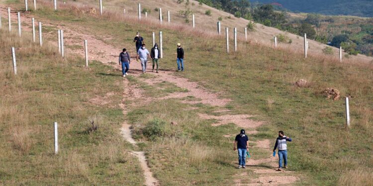 Foto: Archivo El Imparcial // Buscan una delimitación física de la reserva ecológica, para frenar la mancha urbana.