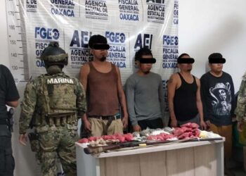 El operativo se realizó como parte de investigaciones por delitos contra la salud.