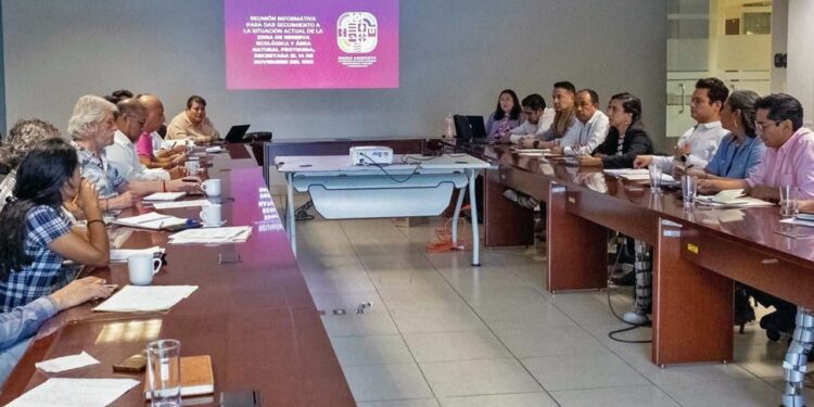 Foto: cortesía // La secretaria del Medio Ambiente, Karime Unda Harp, se reúne con representantes de organizaciones de la sociedad civil.