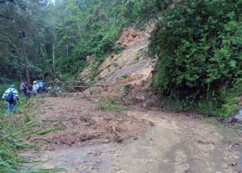 Las recientes lluvias han dejado caminos intransitables y caída de árboles.