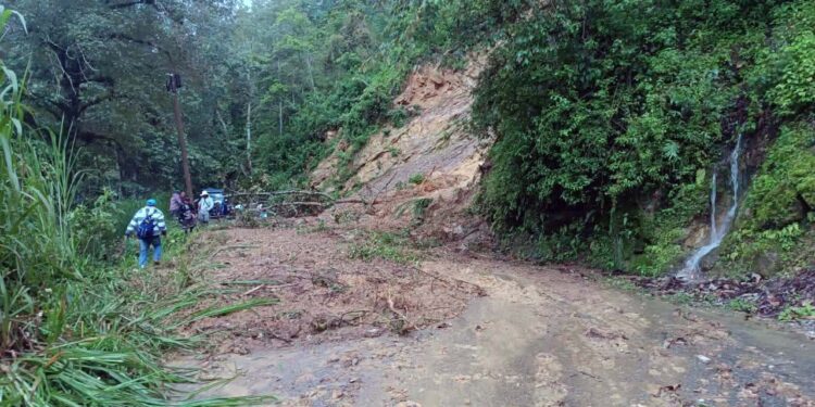 Las recientes lluvias han dejado caminos intransitables y caída de árboles.