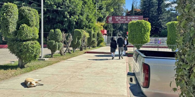 Integrantes del STUCobao acordaron concluir su protesta al lograr una mesa de diálogo con autoridades.
