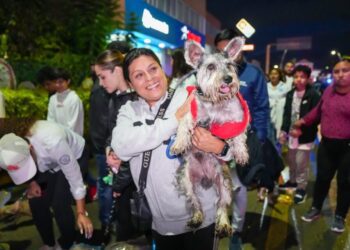Lomitos y mascotas tienen su Caminata Nocturna en la ciudad