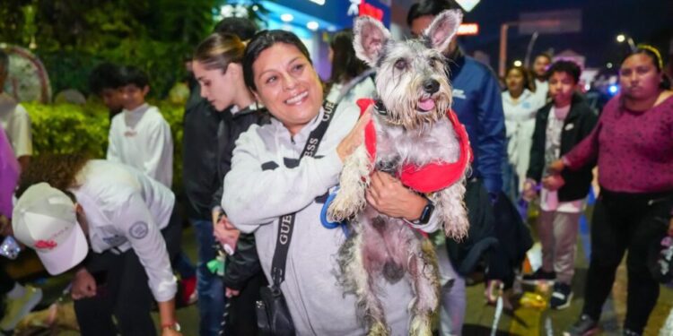 Lomitos y mascotas tienen su Caminata Nocturna en la ciudad