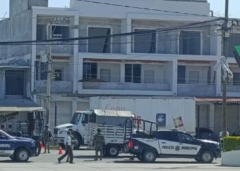 ¡Sangre en el mercado de Pinotepa! Sicarios atacan a balazos a carnicero frente a clientes y comerciantes
