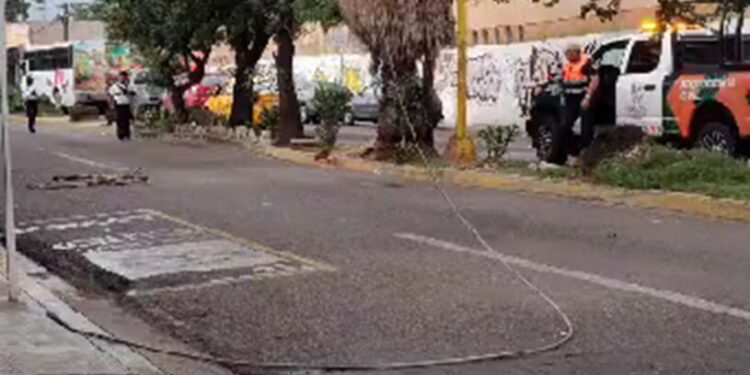 Varias calles de la colonia Reforma se quedaron sin suministro de energía eléctrica.