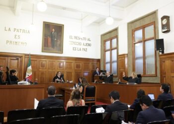 Protege la Corte libertad de expresión en columnas de opinión