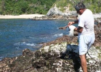 Teñido con Caracol púrpura, ¡sin reconocimiento oficial! ¿por qué?