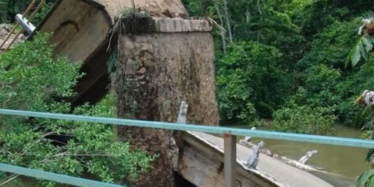 Anuncia Jara rehabilitación de 2 puentes en la Cuenca del Papaloapan