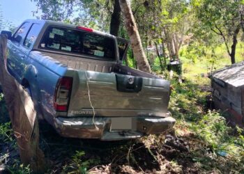 El vehículo siniestrado fue una camioneta Nissan pickup, modelo 2006, color gris.