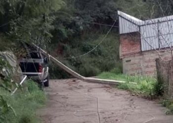 El hecho dejó sin energía a vario hogares de la zona.