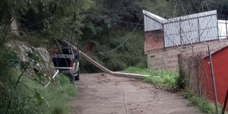 El hecho dejó sin energía a vario hogares de la zona.