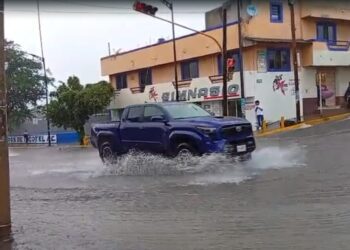 Las precipitaciones que provocaron caída de árboles y, principalmente, encharcamientos.