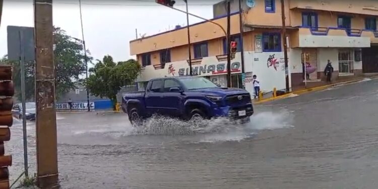 Las precipitaciones que provocaron caída de árboles y, principalmente, encharcamientos.