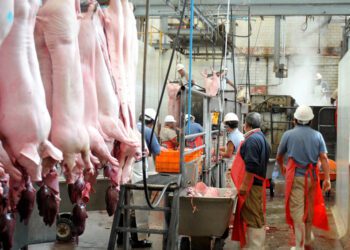 Rastros, bajo la lupa, Coepriso vigilará matanza y uso de esteroides