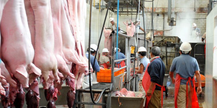Rastros, bajo la lupa, Coepriso vigilará matanza y uso de esteroides