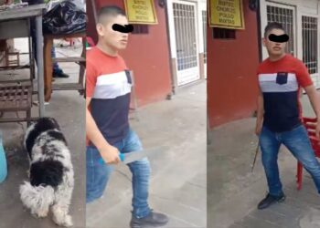 ¡A un paso de la atrocidad! Trabajadores de taquería amedrentan a ciudadana en Puerto Escondido