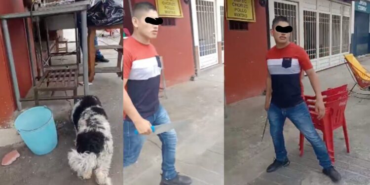 ¡A un paso de la atrocidad! Trabajadores de taquería amedrentan a ciudadana en Puerto Escondido