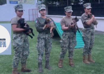 Presentan a los “guardianes” del Mundial 2026