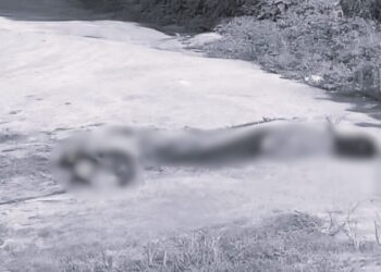 ¡Abominable hallazgo en Jamiltepec! Localizan a cadáveres de hombres torturados