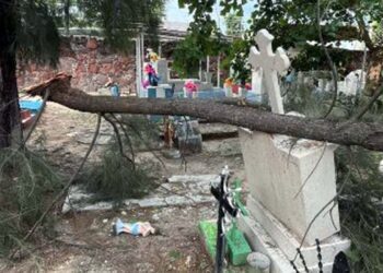 La rama de un árbol cayó en una lápida del panteón de 16 de septiembre.