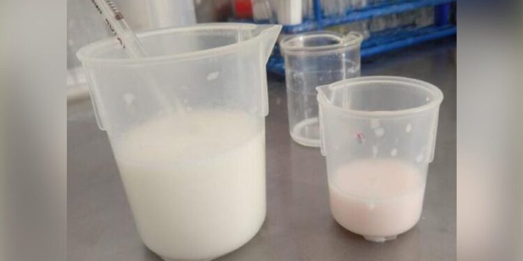 ¡Del huachicol al ‘lechicoleo’! Crimen organizado ahora vende leche adulterada en Guanajuato
