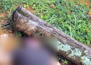 La causa precisa de la muerte de este hombre está siendo investigada por las autoridades competentes.