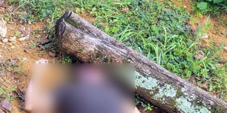 La causa precisa de la muerte de este hombre está siendo investigada por las autoridades competentes.