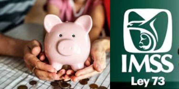 ¿Te vas a pensionar bajo la Ley 73 del IMSS? Esto debes saber para recibir el 100% de tu pensión
