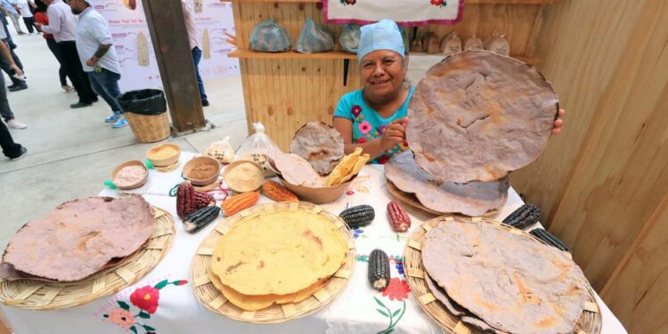 Foto: Adrián Gaytán // El maíz es misticismo, es cultura; está arraigado en aspectos alimenticios, culturales y rituales en México.