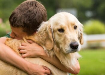 ¿Por qué tener un perro en casa puede mejorar tu bienestar y el de tu familia?